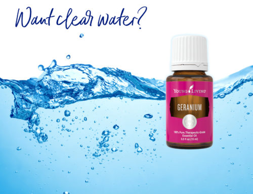 Pristine Water for Therapeutic Soaking