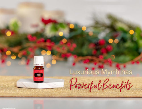 Mary Did You Know… Luxurious Myrrh has Powerful Benefits