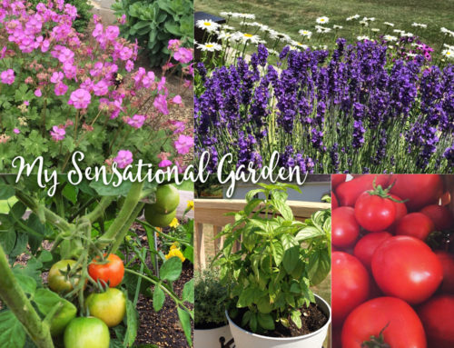 4 secrets that will make your garden sensational