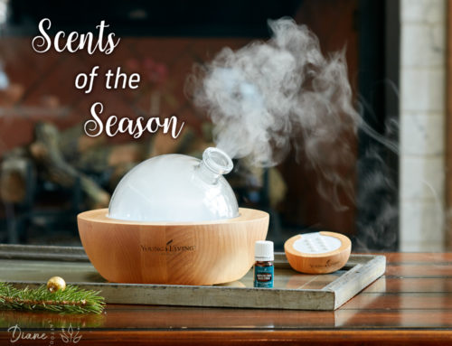 Scents of the Season: Splendid Aromas to Diffuse During the Holidays