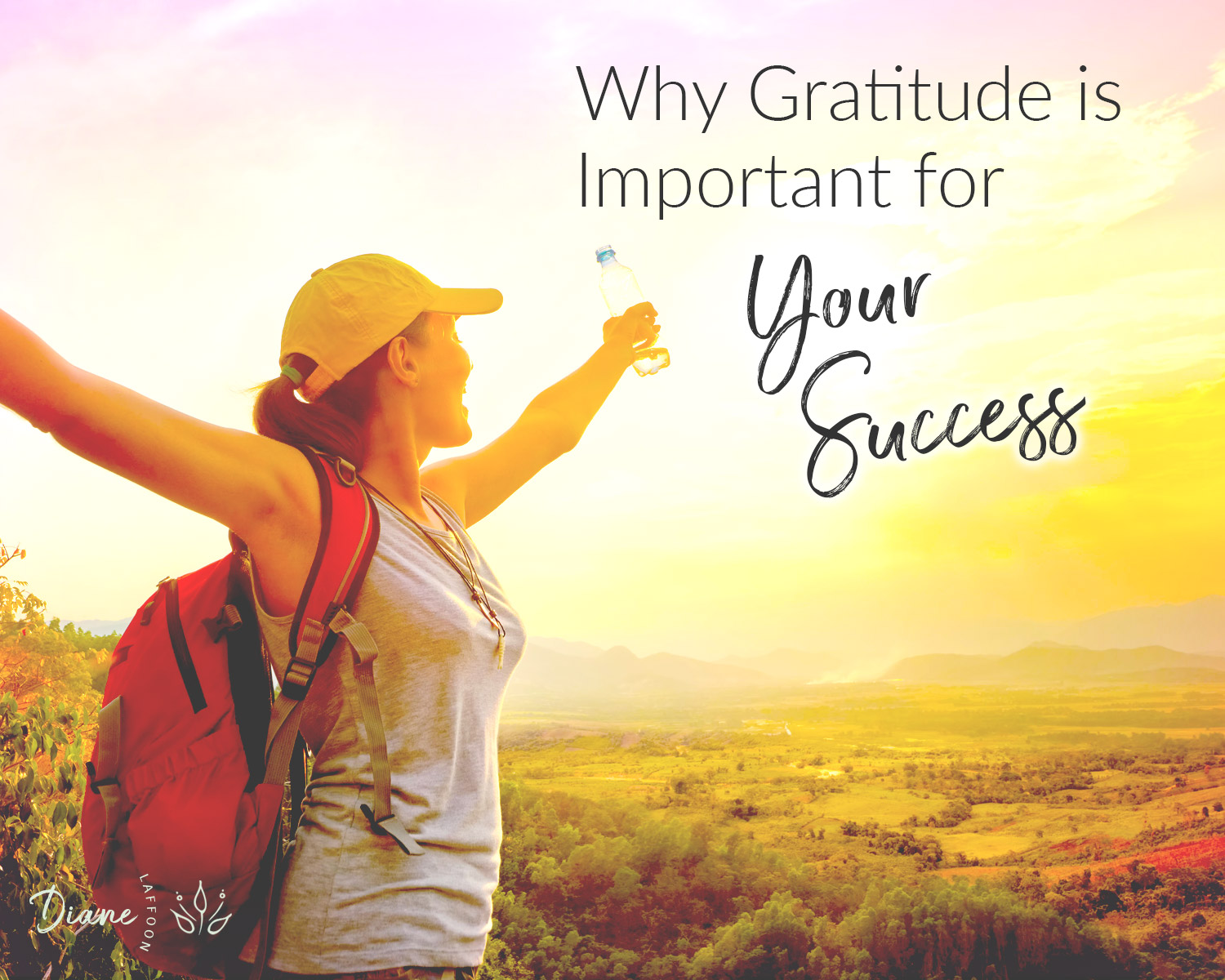 Gratitude for Success