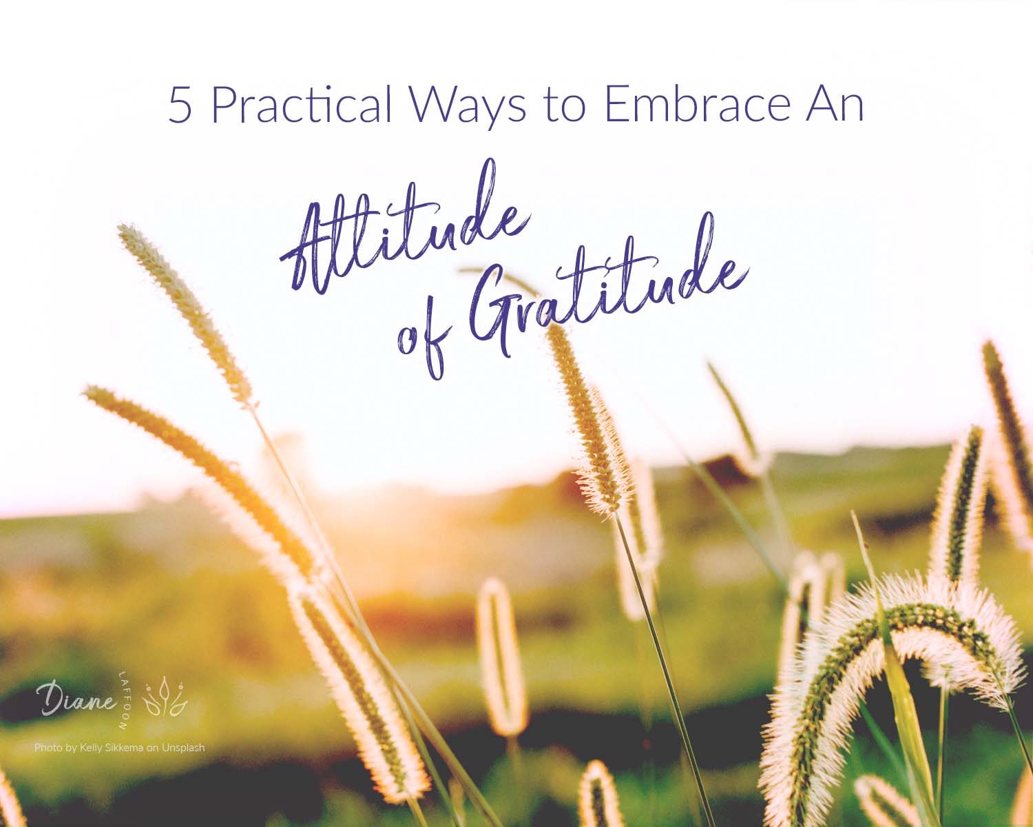 attitude of gratitude