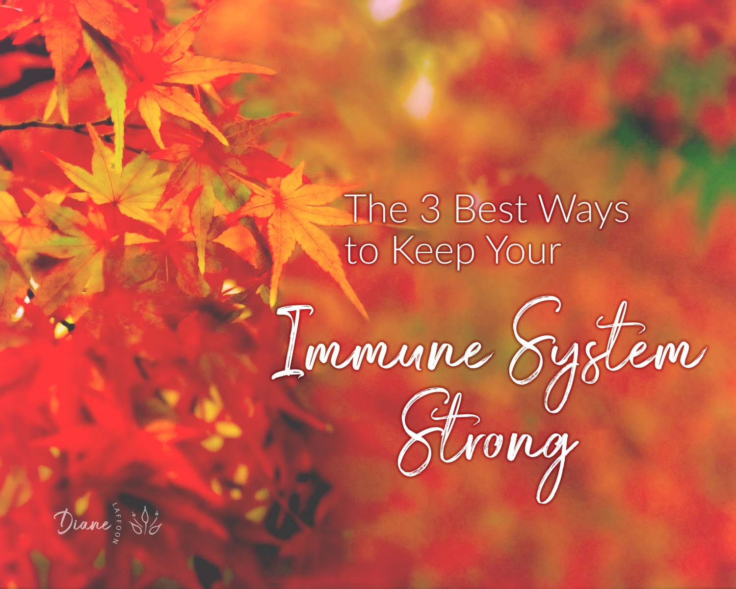 immune system
